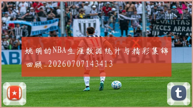 姚明的NBA生涯数据统计与精彩集锦回顾_20260707143413