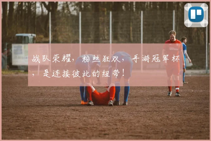 战队荣耀，粉丝狂欢，手游冠军杯，是连接彼此的纽带！