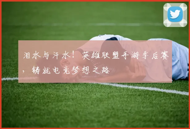 泪水与汗水！英雄联盟手游季后赛，铸就电竞梦想之路