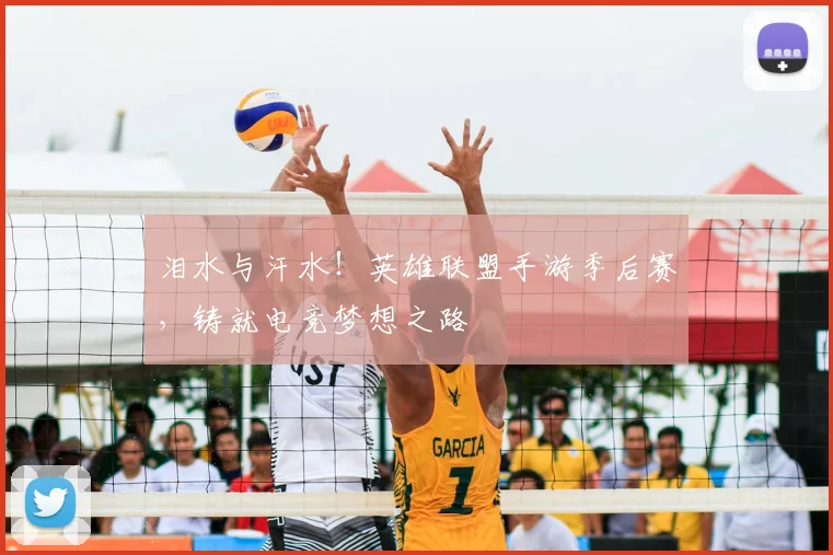 泪水与汗水!英雄联盟手游季后赛,铸就电竞梦想之路