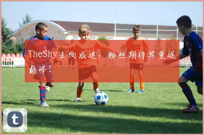 TheShy去向成迷，粉丝期待其重返巅峰！