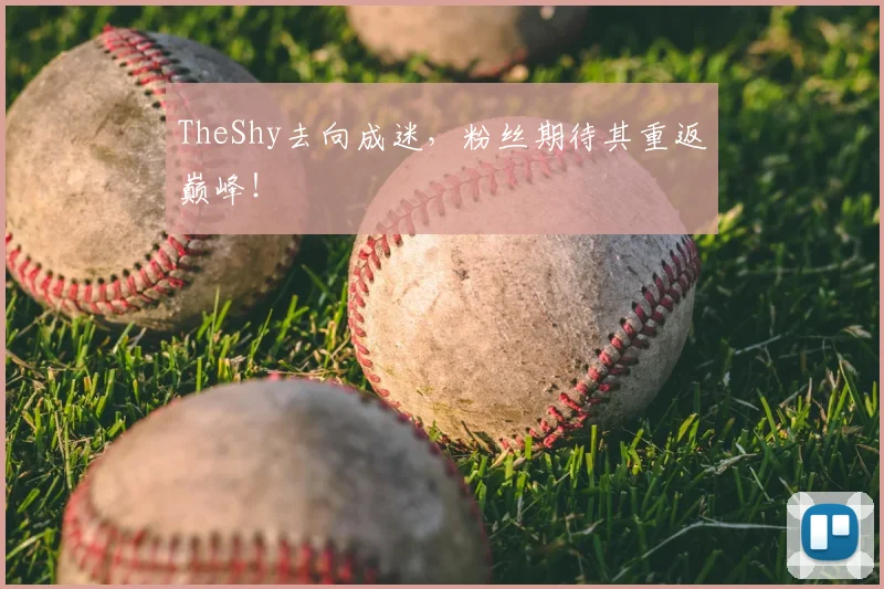 TheShy去向成迷，粉丝期待其重返巅峰！